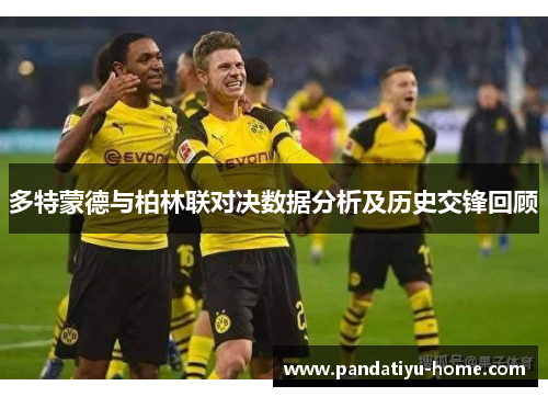 多特蒙德与柏林联对决数据分析及历史交锋回顾